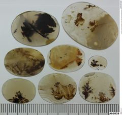 Foto von Quarz (Chalcedon, Achat, Dendritenachat/Mokkastein) (NHMW-MIN-Ab5828)